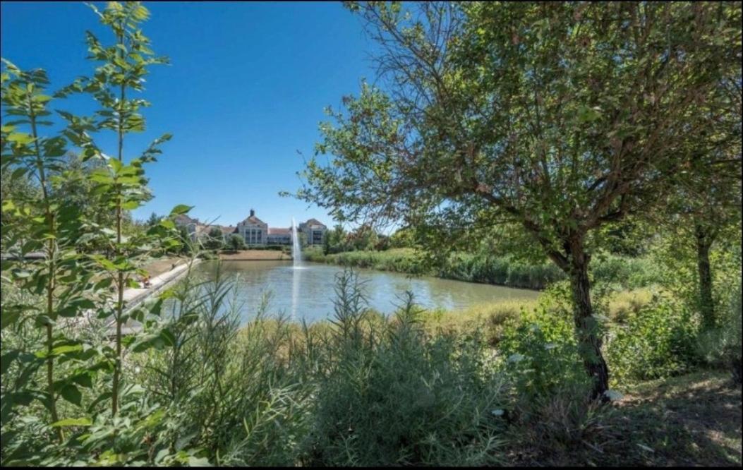 Appartement Castle - 10 Minutes De Disney Bussy-Saint-Georges Exterior foto